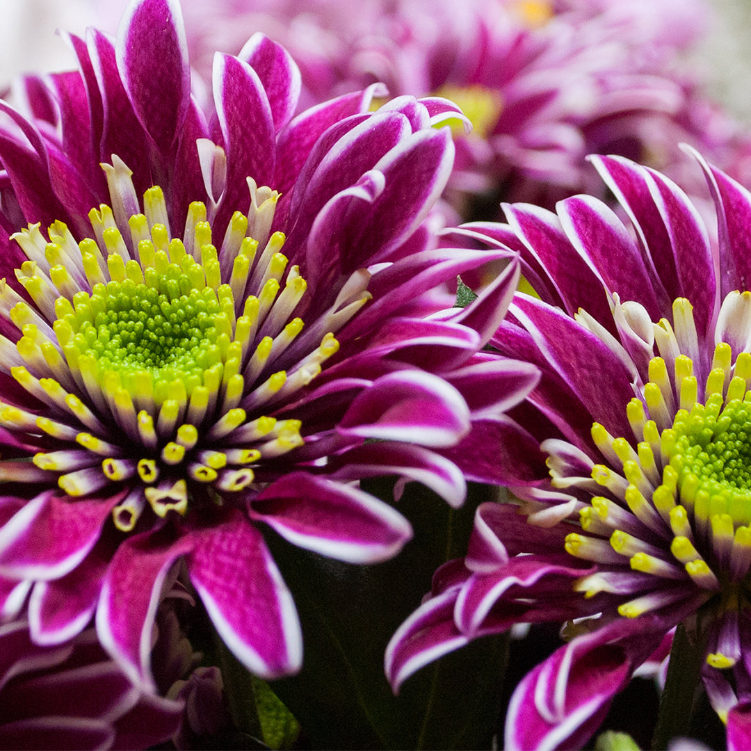 September Gardening Jobs