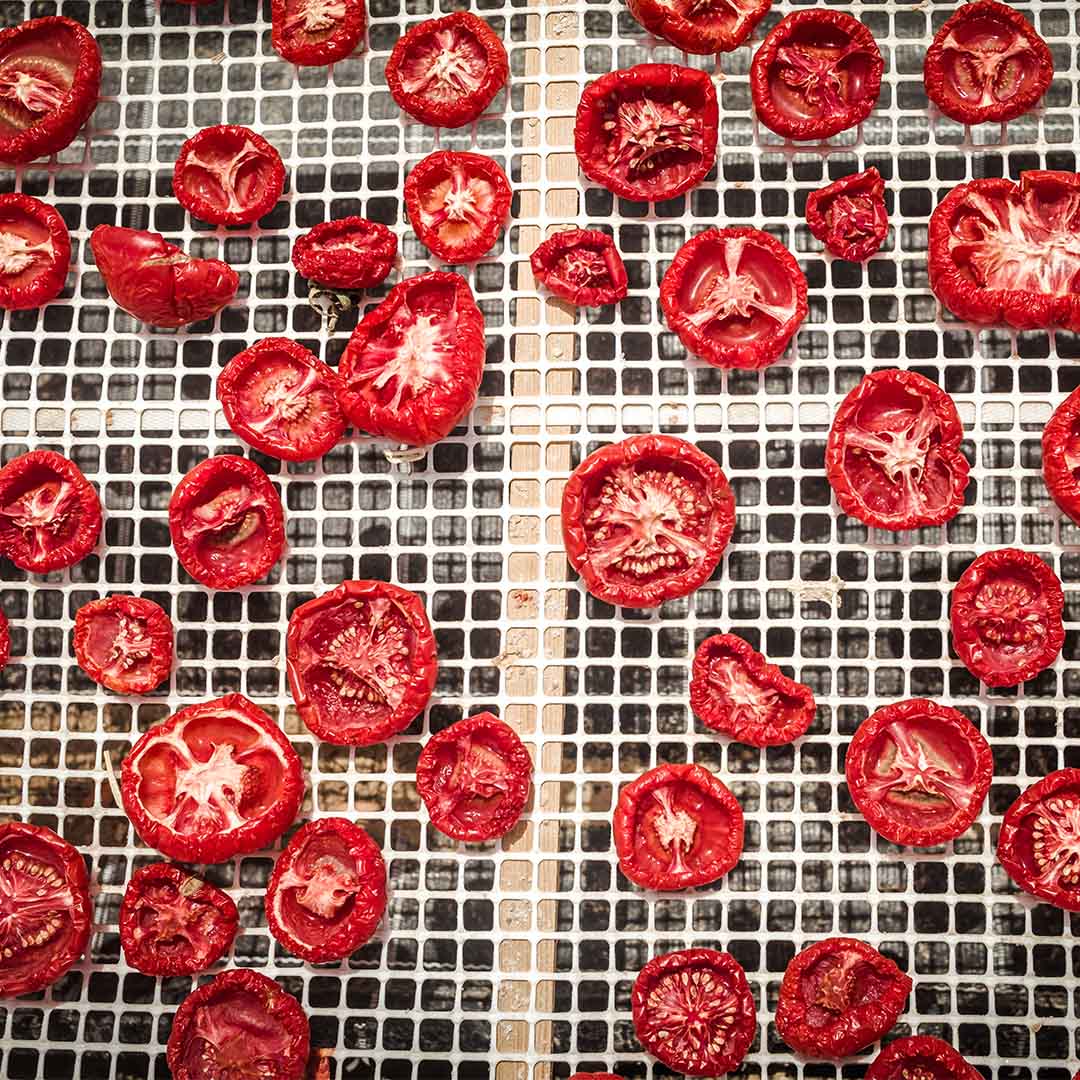 September Gardening Tasks