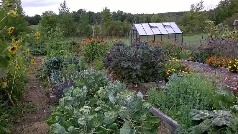 fall A Vegetable Succession Garden
