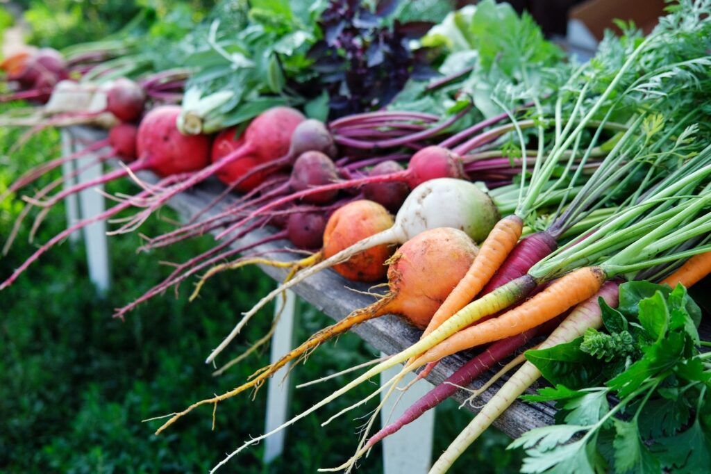 what to plant in October root vegetables