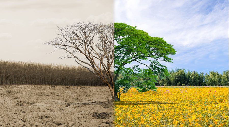 Preserving the Environment